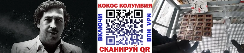 Cocaine Fish Scale  купить  сайты  Ачхой-Мартан 