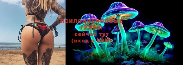 СК Алексеевка