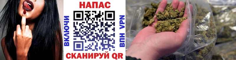 цена наркотик  OMG ссылка  Бошки Шишки OG Kush  Ачхой-Мартан 
